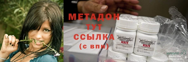 ECSTASY Алзамай