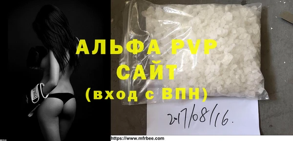 ECSTASY Алзамай