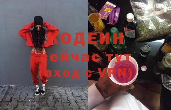 ECSTASY Алзамай