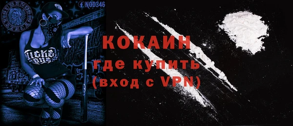 ECSTASY Алзамай