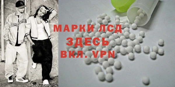 ECSTASY Алзамай